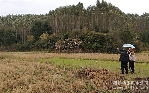 河北区陈老师带着爱徒寻龙点穴